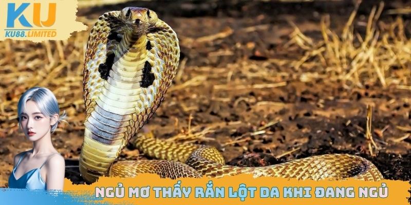 Chiêm bao cảnh rắn lột da khi đang ngủ