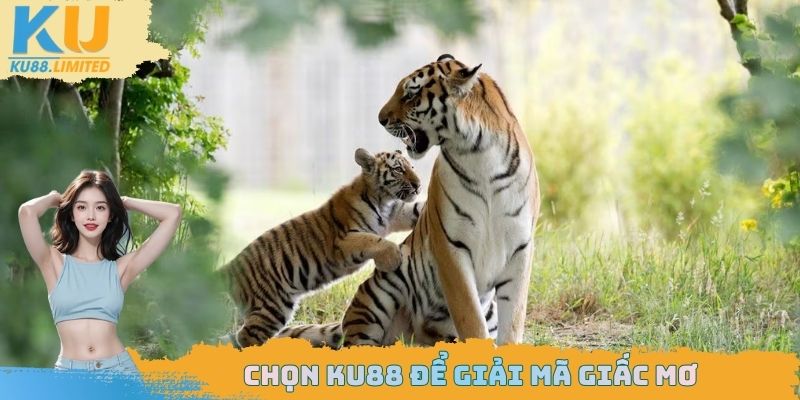 Có thể chọn Ku88 để giải mã mọi con số may mắn