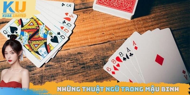 Những thuật ngữ trong game bài mậu binh có thể bạn chưa biết