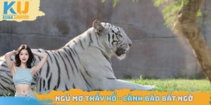 Ngủ mơ thấy hổ