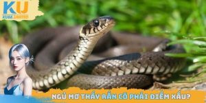 Ngủ mơ thấy rắn