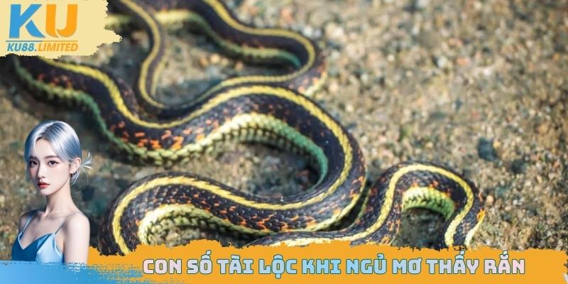 Thử may mắn bản thân với danh sách con số liên quan